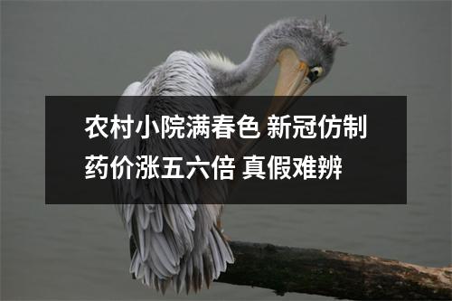 农村小院满春色 新冠仿制药价涨五六倍 真假难辨