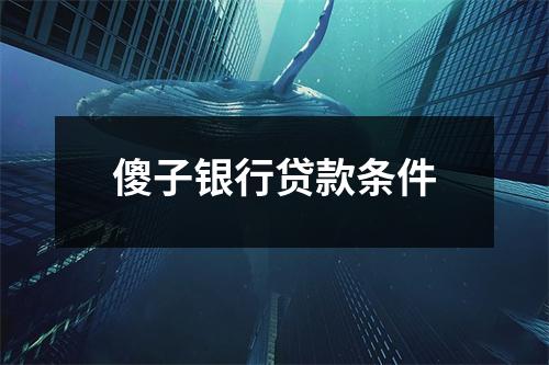 傻子银行贷款条件