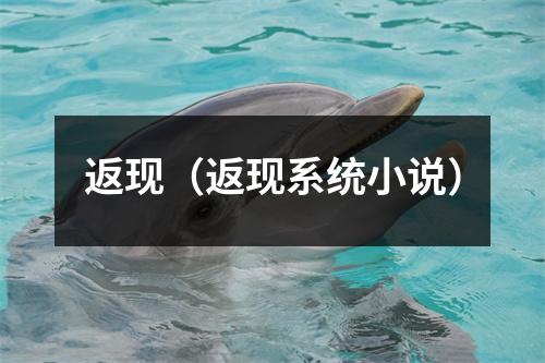 返现（返现系统小说）