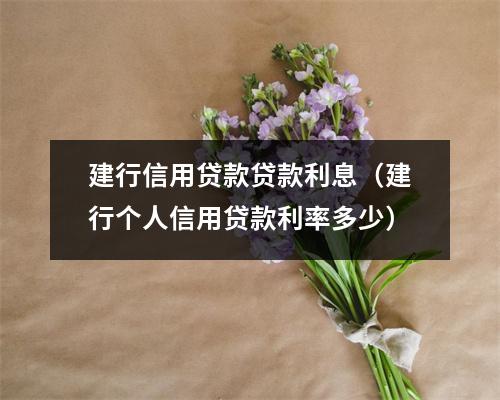 建行信用贷款贷款利息（建行个人信用贷款利率多少）