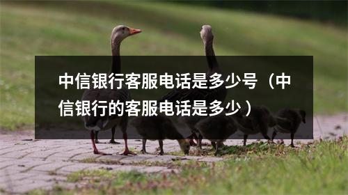 中信银行客服电话是多少号（中信银行的客服电话是多少 ）