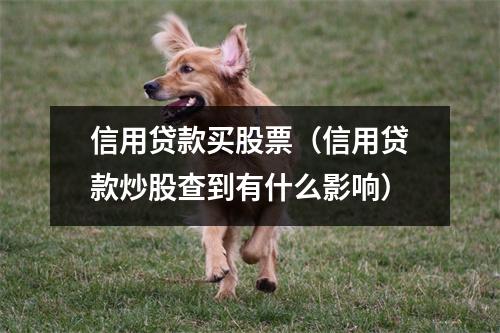 信用贷款买股票(信用贷款炒股查到有什么影响)