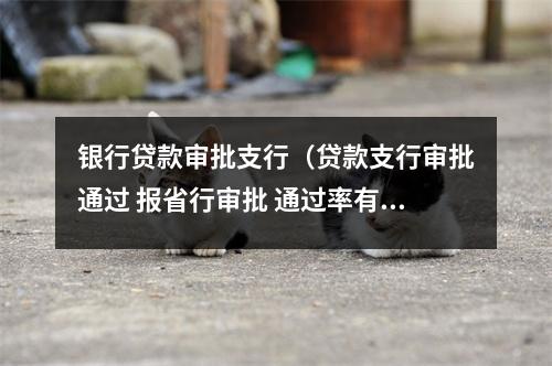 银行贷款审批支行（贷款支行审批通过 报省行审批 通过率有多高）