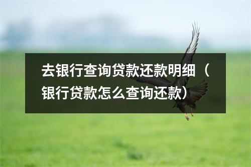 去银行查询贷款还款明细（银行贷款怎么查询还款）