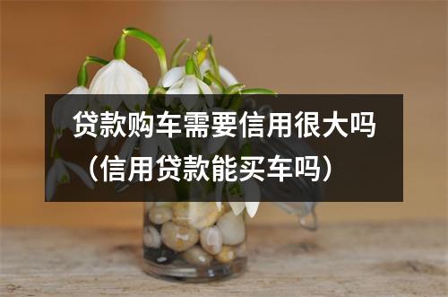 贷款购车需要信用很大吗（信用贷款能买车吗）