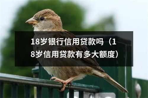 18岁银行信用贷款吗（18岁信用贷款有多大额度）