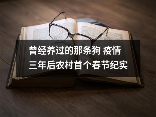 曾经养过的那条狗 疫情三年后农村首个春节纪实