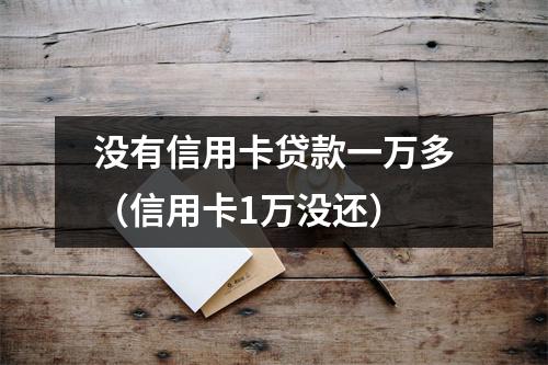 没有信用卡贷款一万多（信用卡1万没还）