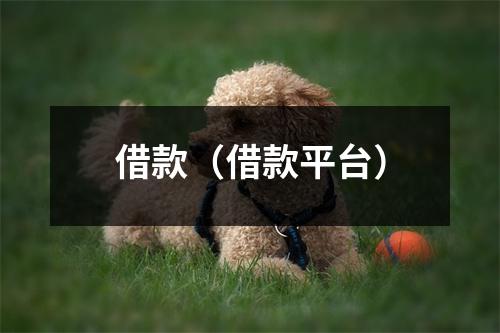 借款（借款平台）