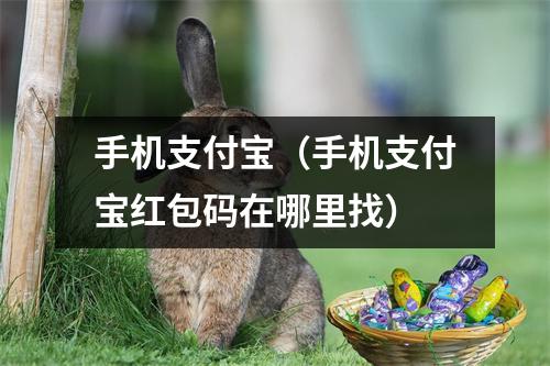 手机支付宝（手机支付宝红包码在哪里找）