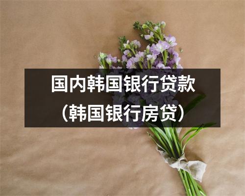国内韩国银行贷款（韩国银行房贷）
