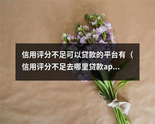 信用评分不足可以贷款的平台有（信用评分不足去哪里贷款app）