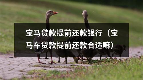 宝马贷款提前还款银行（宝马车贷款提前还款合适嘛）