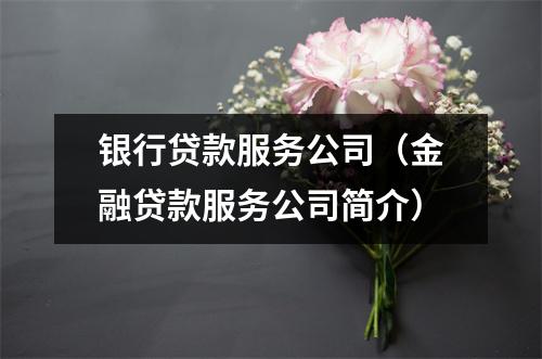 银行贷款服务公司（金融贷款服务公司简介）