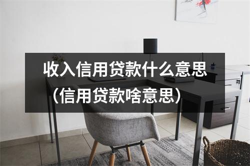 收入信用贷款什么意思（信用贷款啥意思）