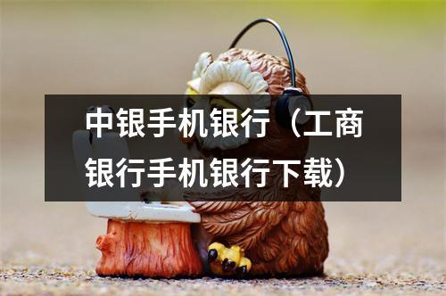 中银手机银行（工商银行手机银行下载）