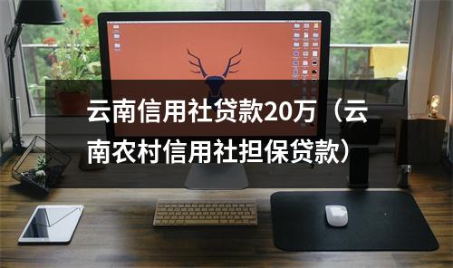 云南信用社贷款20万（云南农村信用社担保贷款）