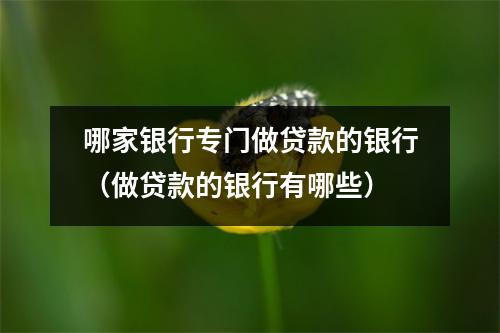 哪家银行专门做贷款的银行（做贷款的银行有哪些）