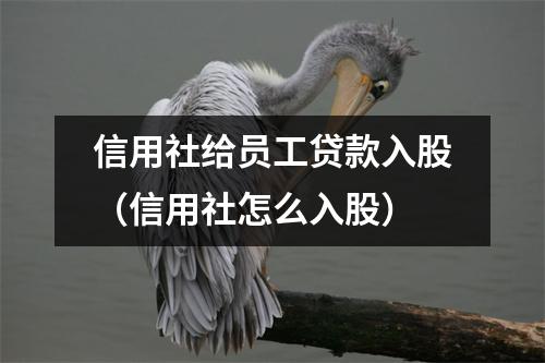 信用社给员工贷款入股（信用社怎么入股）