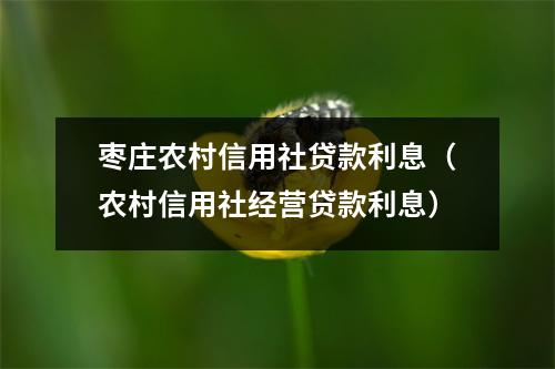 枣庄农村信用社贷款利息（农村信用社经营贷款利息）