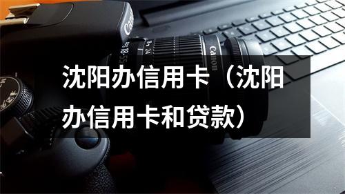 沈阳办信用卡(沈阳办信用卡和贷款)