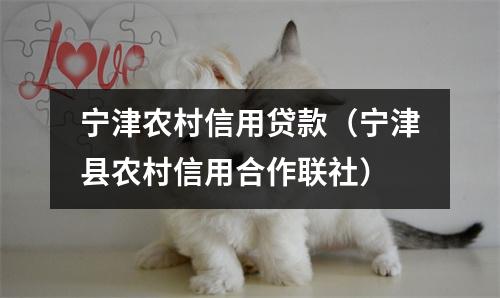 宁津农村信用贷款(宁津县农村信用合作联社)