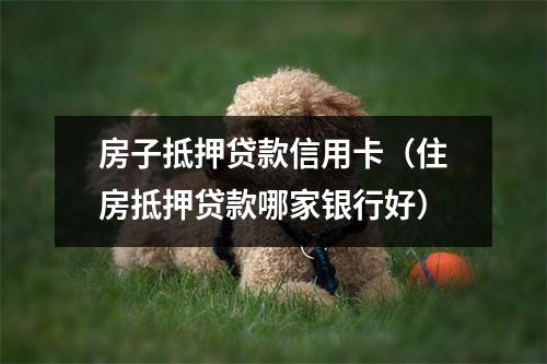 房子抵押贷款信用卡(住房抵押贷款哪家银行好)