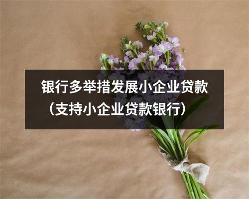 银行多举措发展小企业贷款（支持小企业贷款银行）
