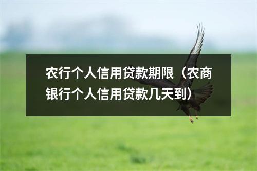 农行个人信用贷款期限（农商银行个人信用贷款几天到）