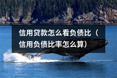 信用贷款怎么看负债比（信用负债比率怎么算）