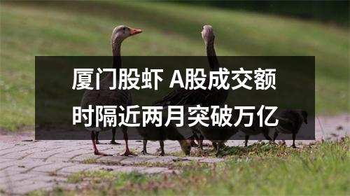 厦门股虾 A股成交额时隔近两月突破万亿