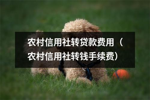 农村信用社转贷款费用（农村信用社转钱手续费）