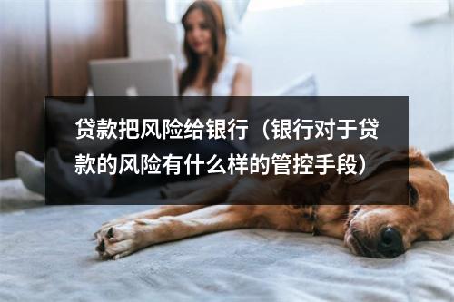 贷款把风险给银行（银行对于贷款的风险有什么样的管控手段）