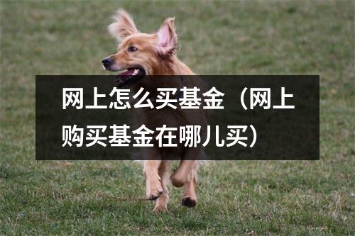 网上怎么买基金(网上购买基金在哪儿买)