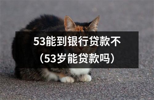 53能到银行贷款不(53岁能贷款吗)