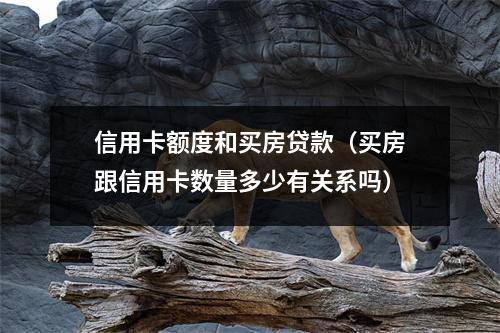 信用卡额度和买房贷款（买房跟信用卡数量多少有关系吗）