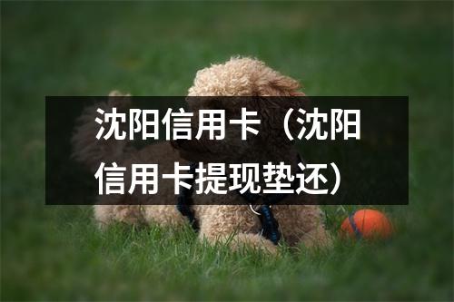 沈阳信用卡（沈阳信用卡提现垫还）
