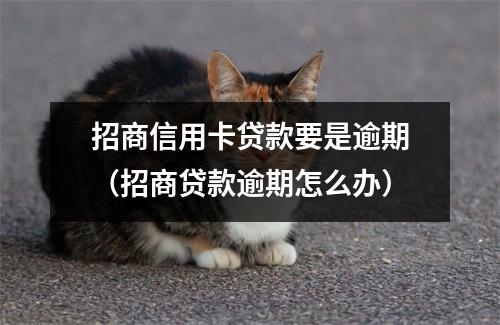 招商信用卡贷款要是逾期（招商贷款逾期怎么办）