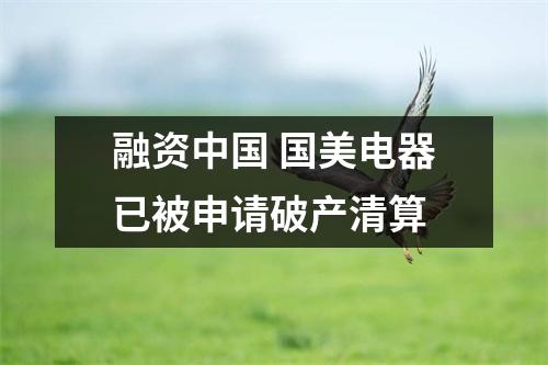 融资中国 国美电器已被申请破产清算