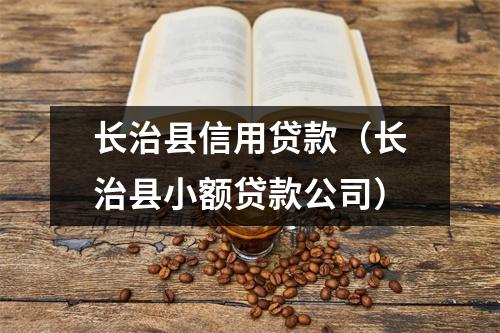 长治县信用贷款（长治县小额贷款公司）