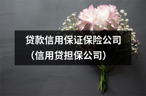 贷款信用保证保险公司（信用贷担保公司）