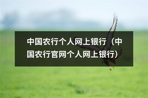 中国农行个人网上银行（中国农行官网个人网上银行）