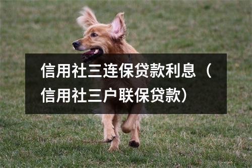 信用社三连保贷款利息（信用社三户联保贷款）