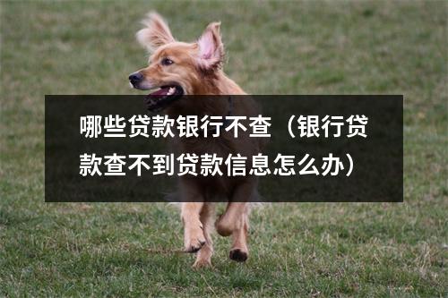 哪些贷款银行不查（银行贷款查不到贷款信息怎么办）