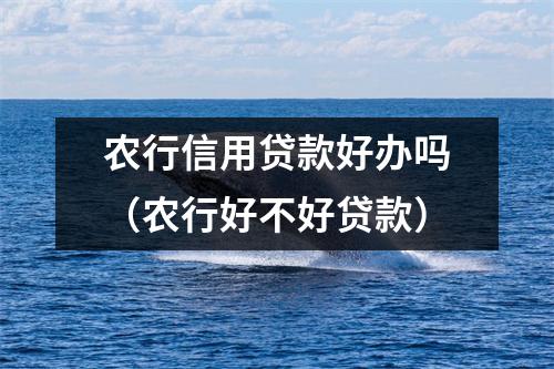 农行信用贷款好办吗（农行好不好贷款）