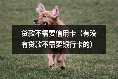 贷款不需要信用卡（有没有贷款不需要银行卡的）