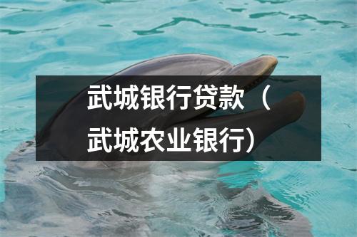 武城银行贷款（武城农业银行）
