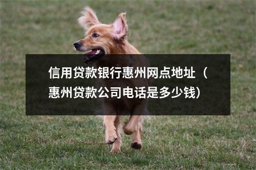 信用贷款银行惠州网点地址（惠州贷款公司电话是多少钱）