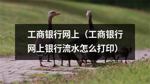 工商银行网上(工商银行网上银行流水怎么打印)