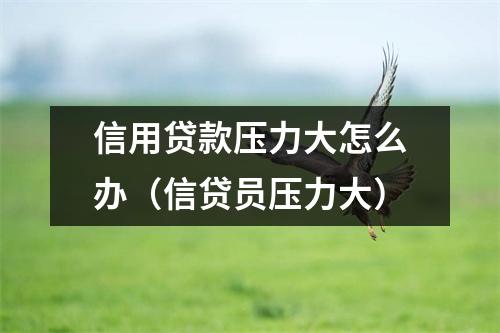 信用贷款压力大怎么办（信贷员压力大）